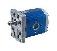 XV-3P - Italian group 3 gear pump with flanged ports