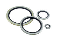 SSUSITR - AISI 316 stainless steel bonded seal