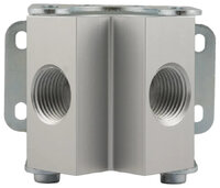 Aignep - 90642 2 WAYS MANIFOLD